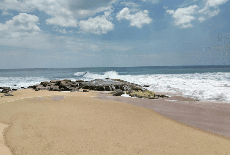 Trincomalee Pigeon Island Adventure