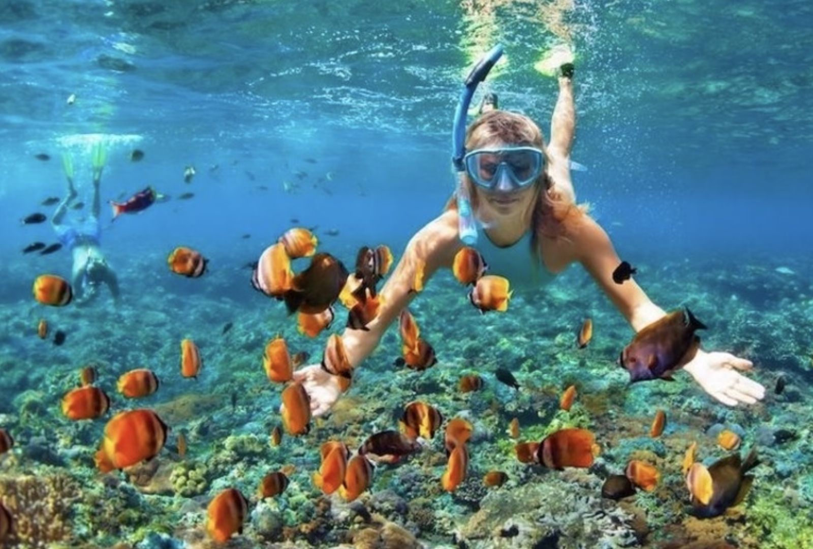 Untitled design (10)