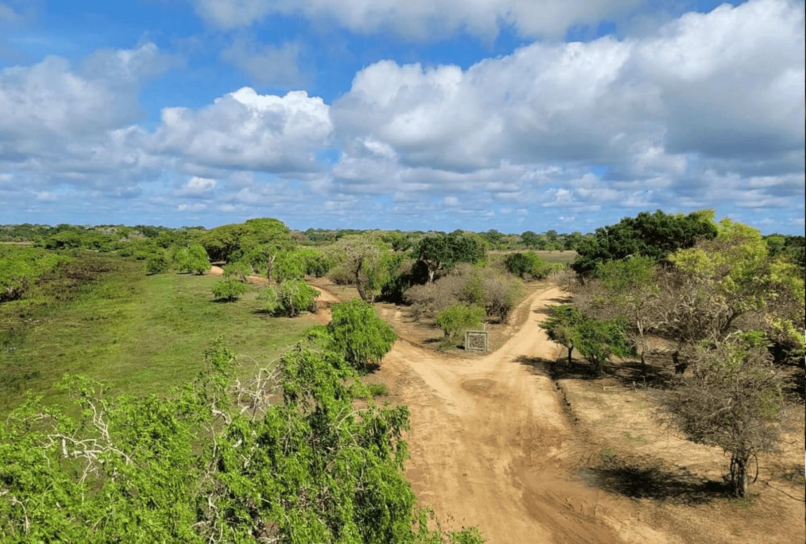 Untitled design (100)