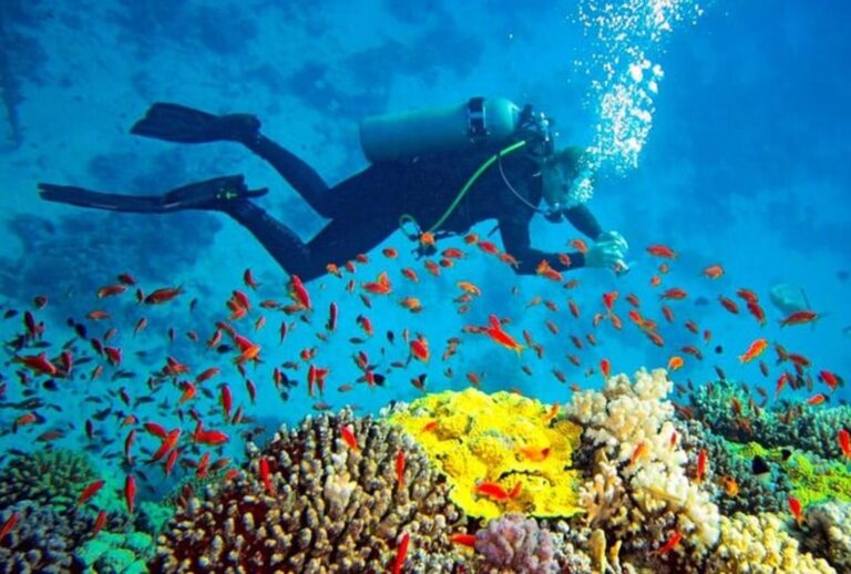 Scuba Diving – Trincomalee