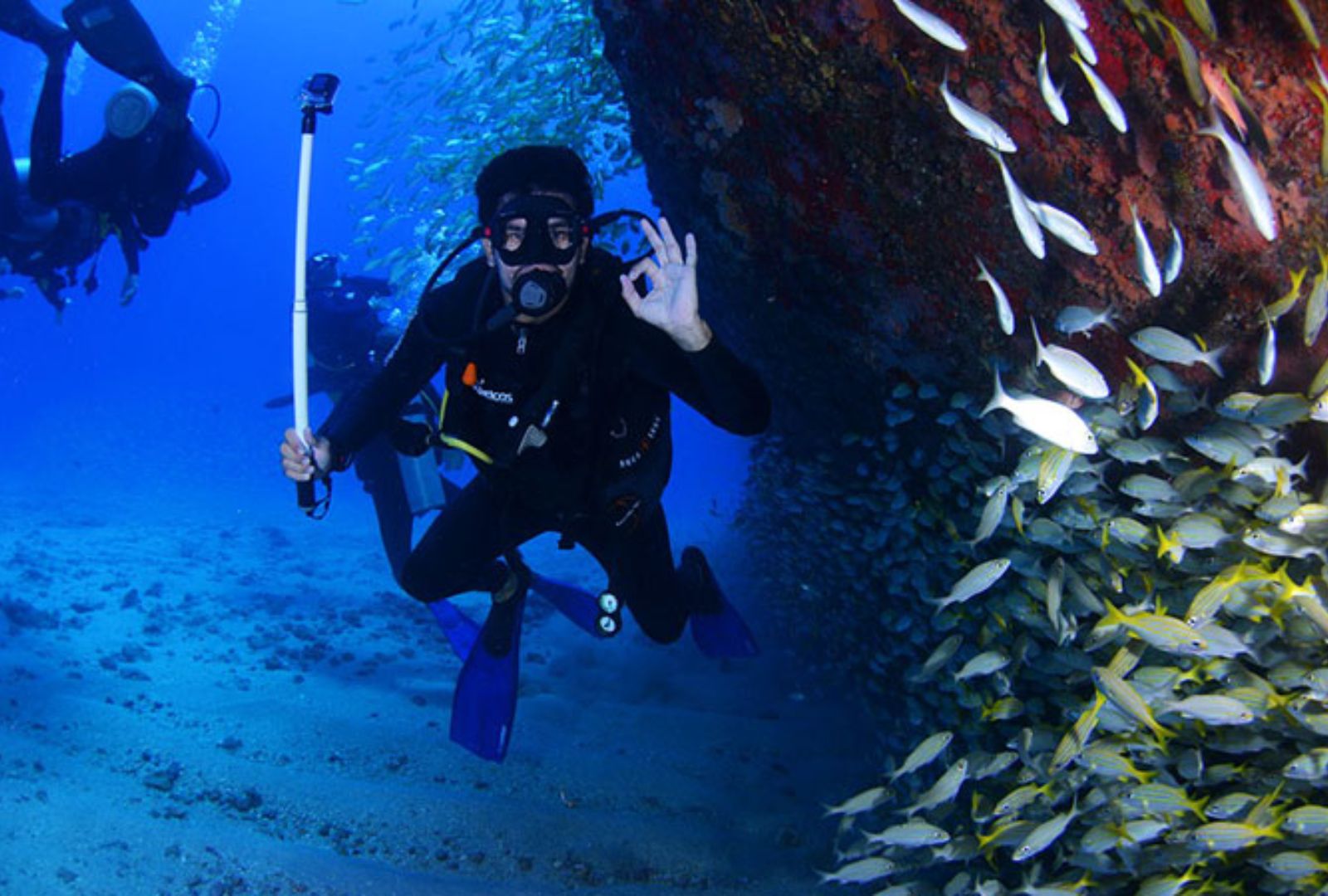 Untitled design (16)