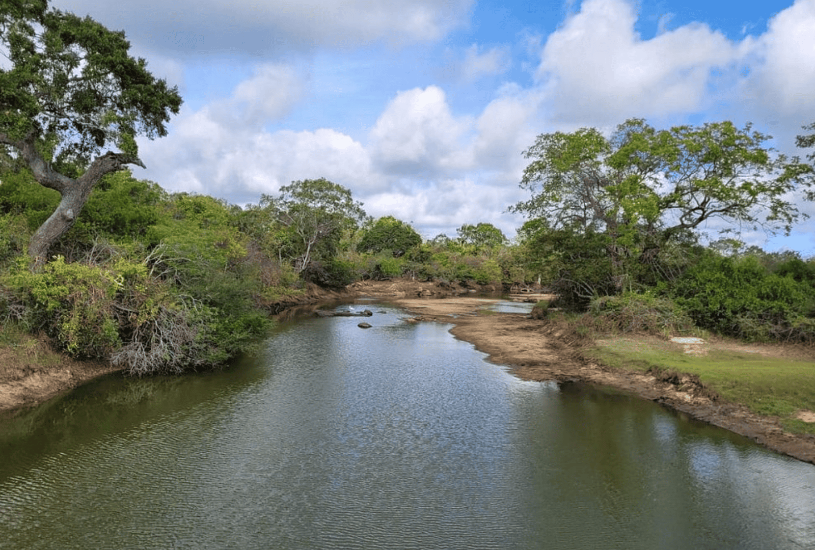 Untitled design - 2026-02-18T135151.067