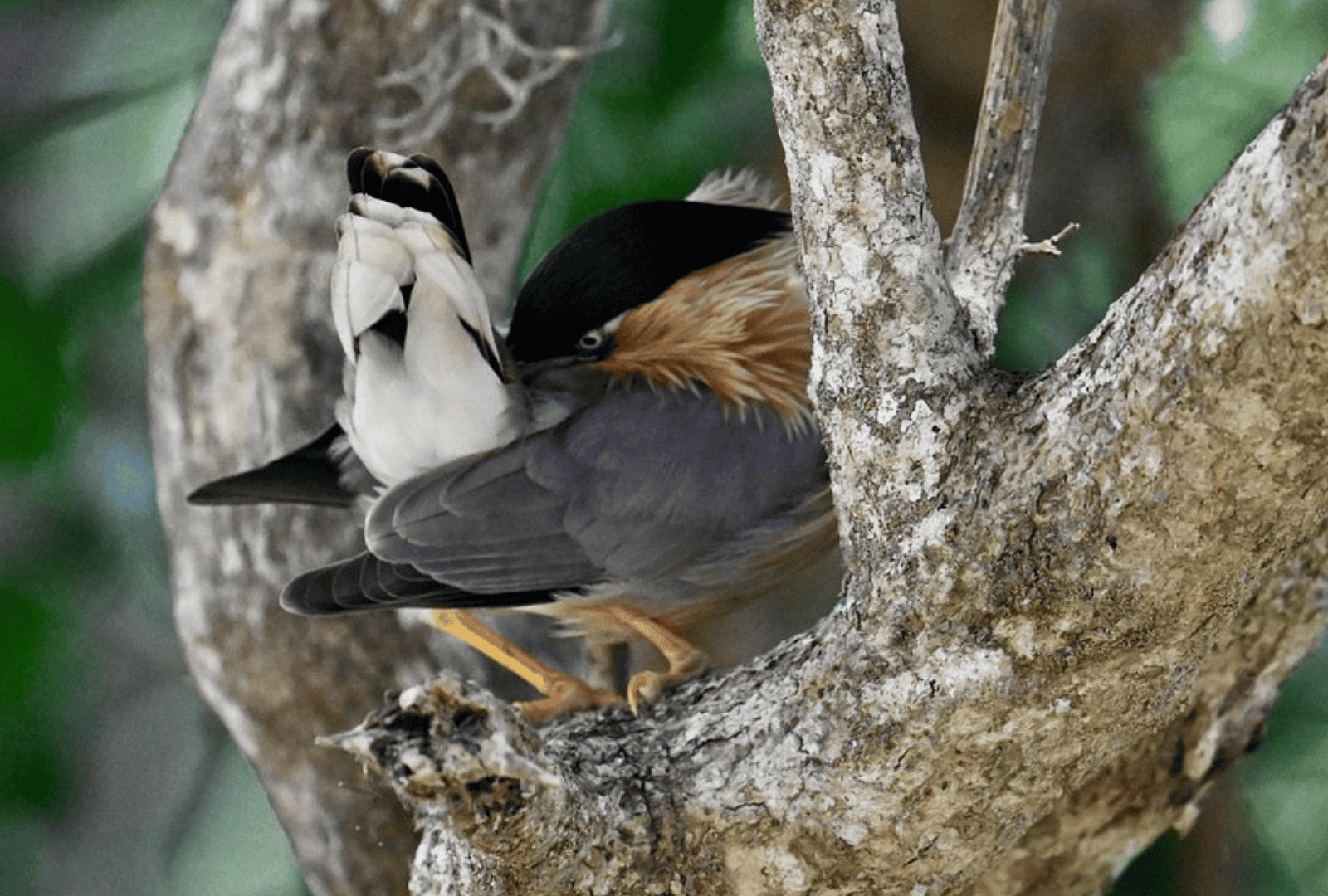 Untitled design - 2026-02-18T135527.039