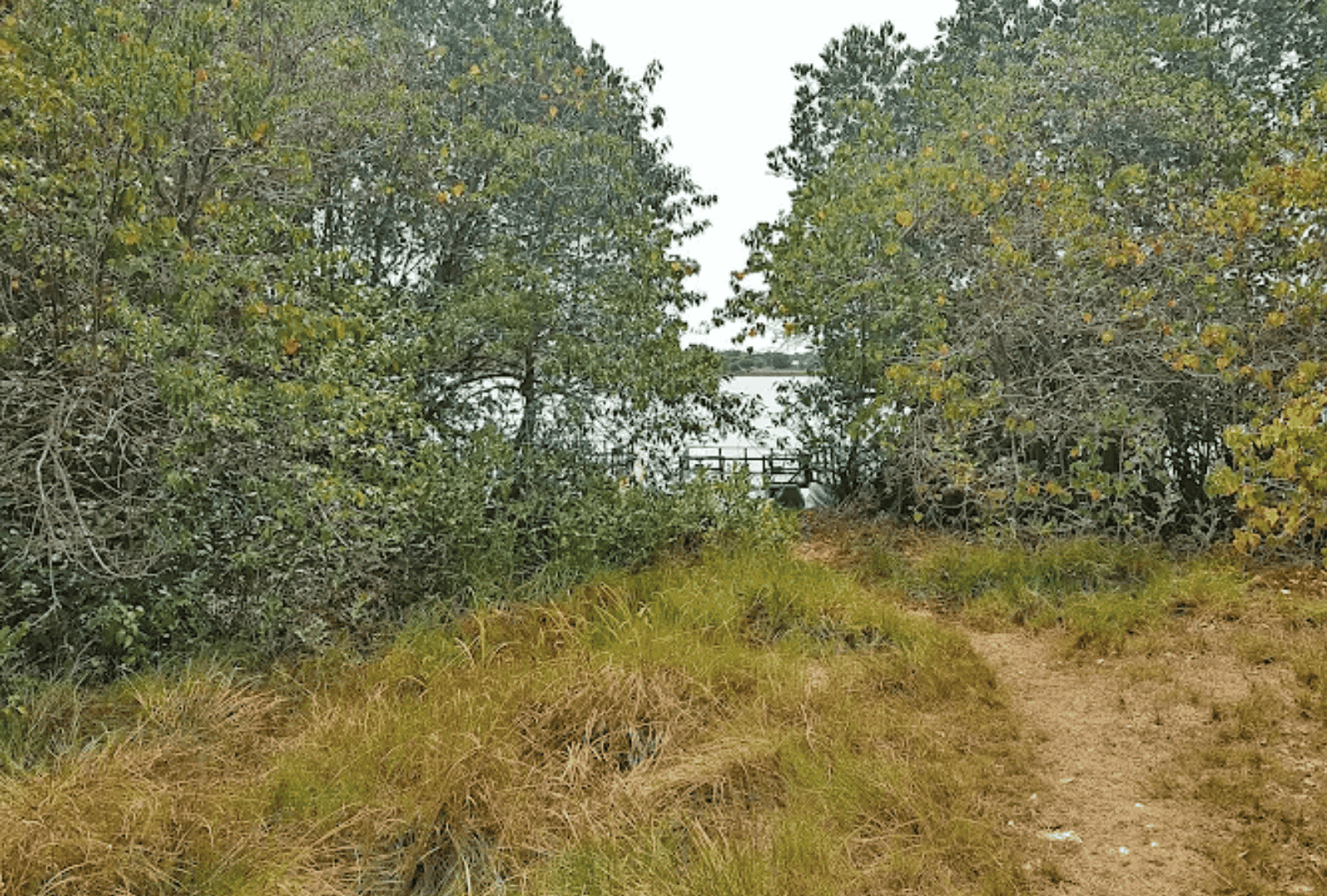 Untitled design - 2026-02-18T144946.202