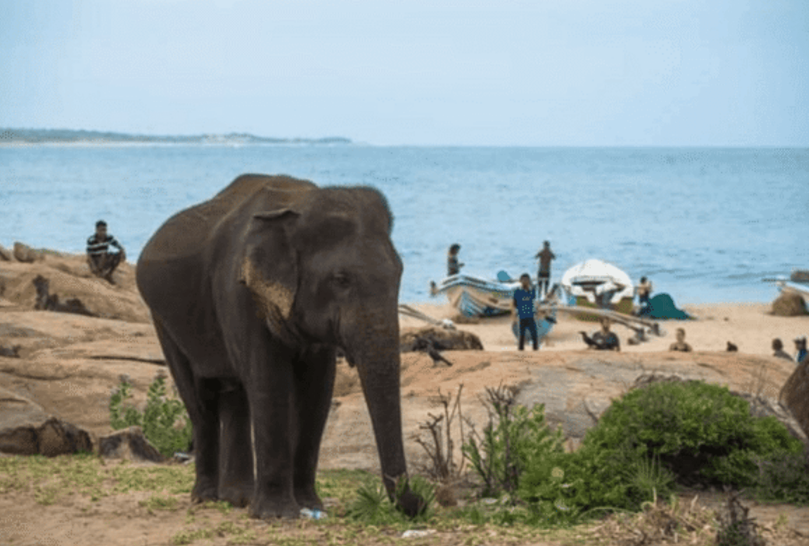 Untitled design - 2026-02-18T150712.570