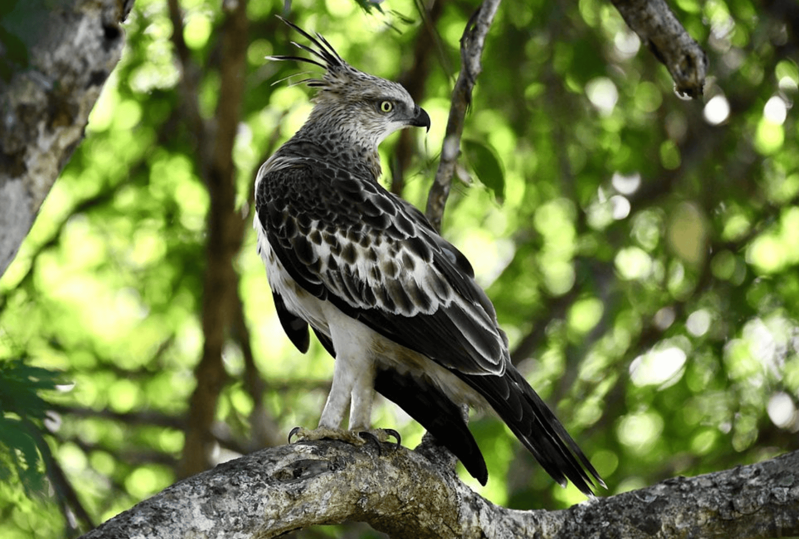 Untitled design - 2026-02-18T154417.721