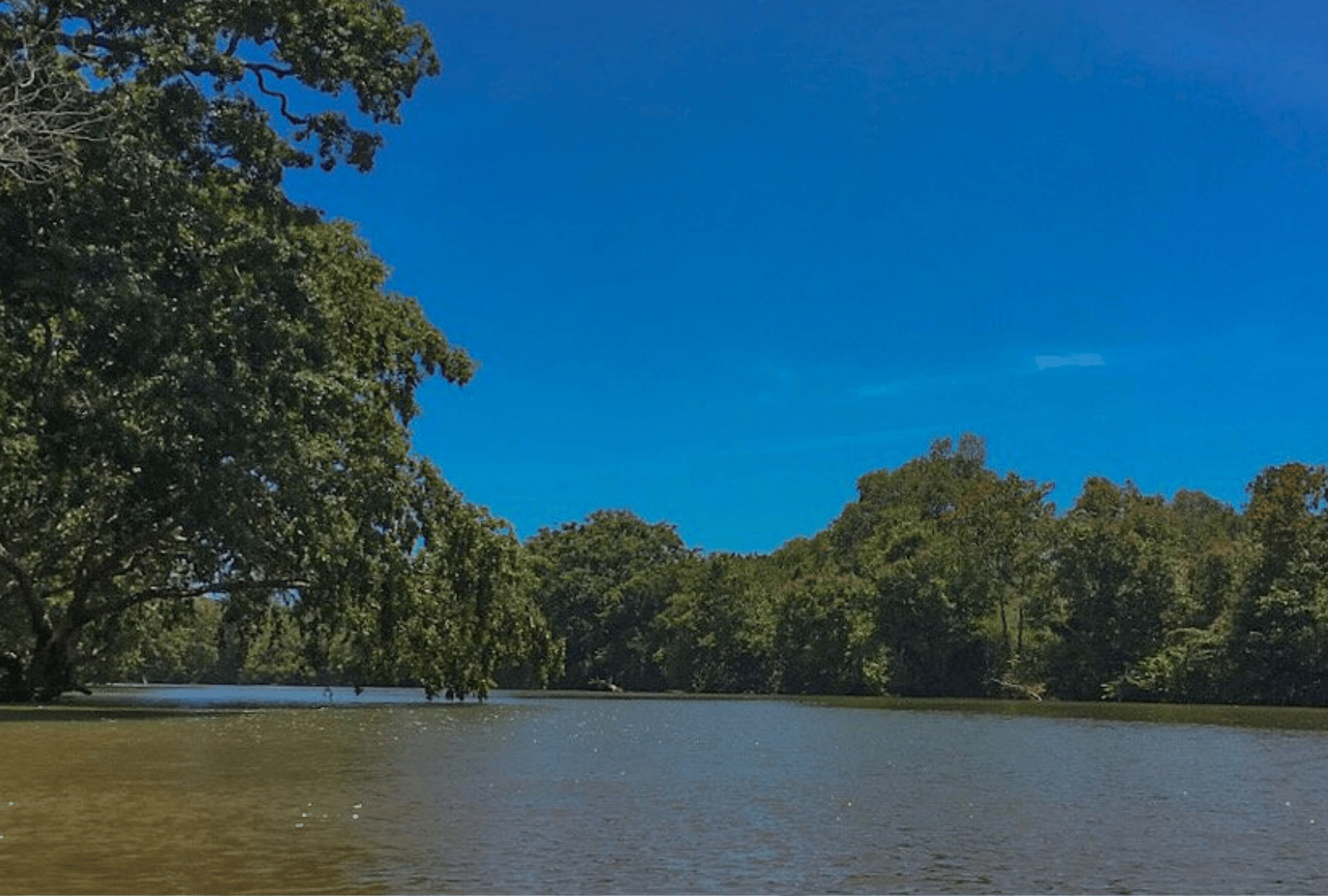 Untitled design - 2026-02-18T154656.423