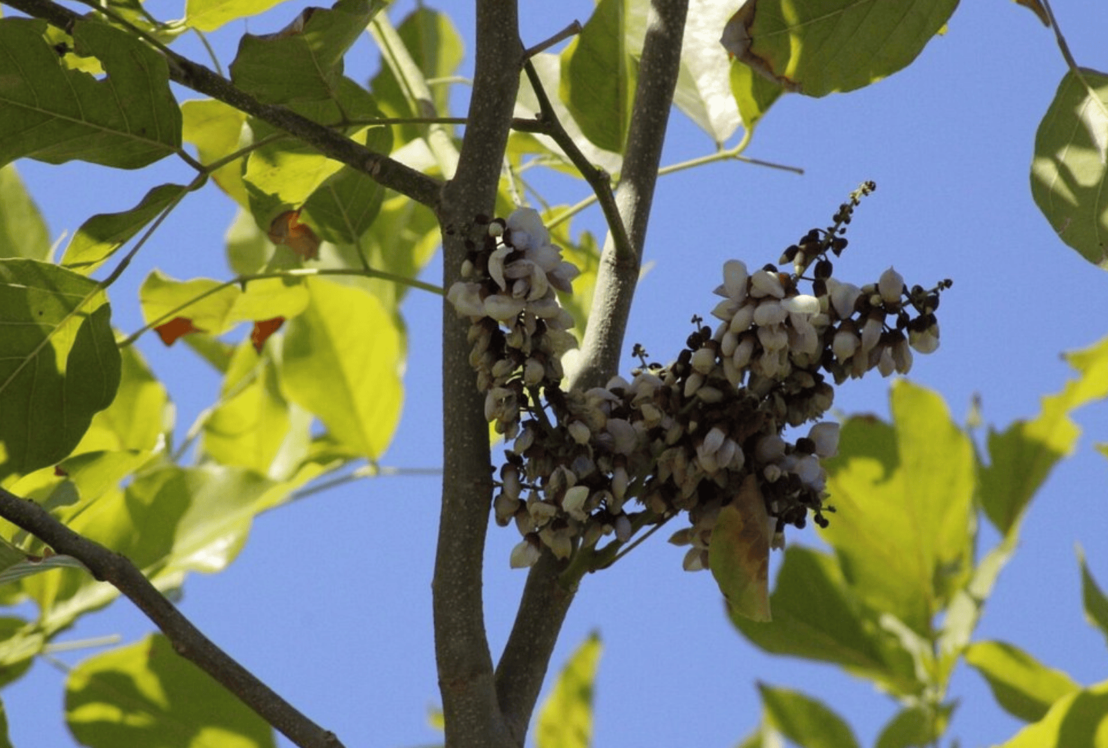 Untitled design - 2026-02-18T160827.499