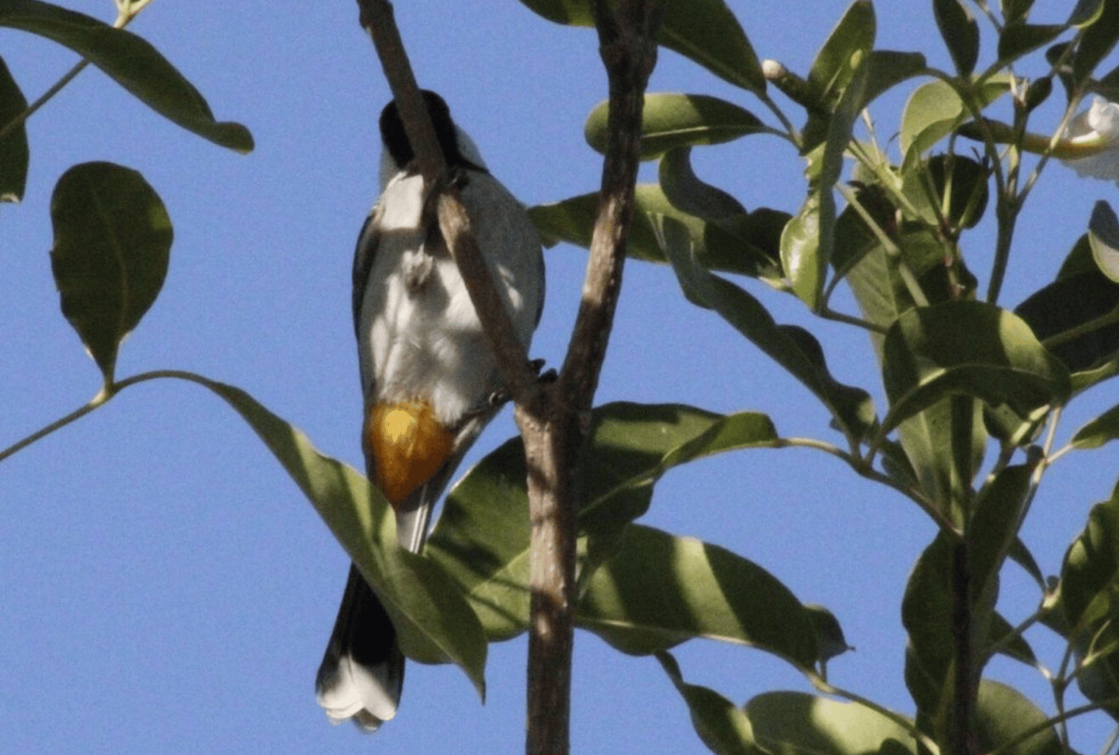 Untitled design - 2026-02-18T160905.083