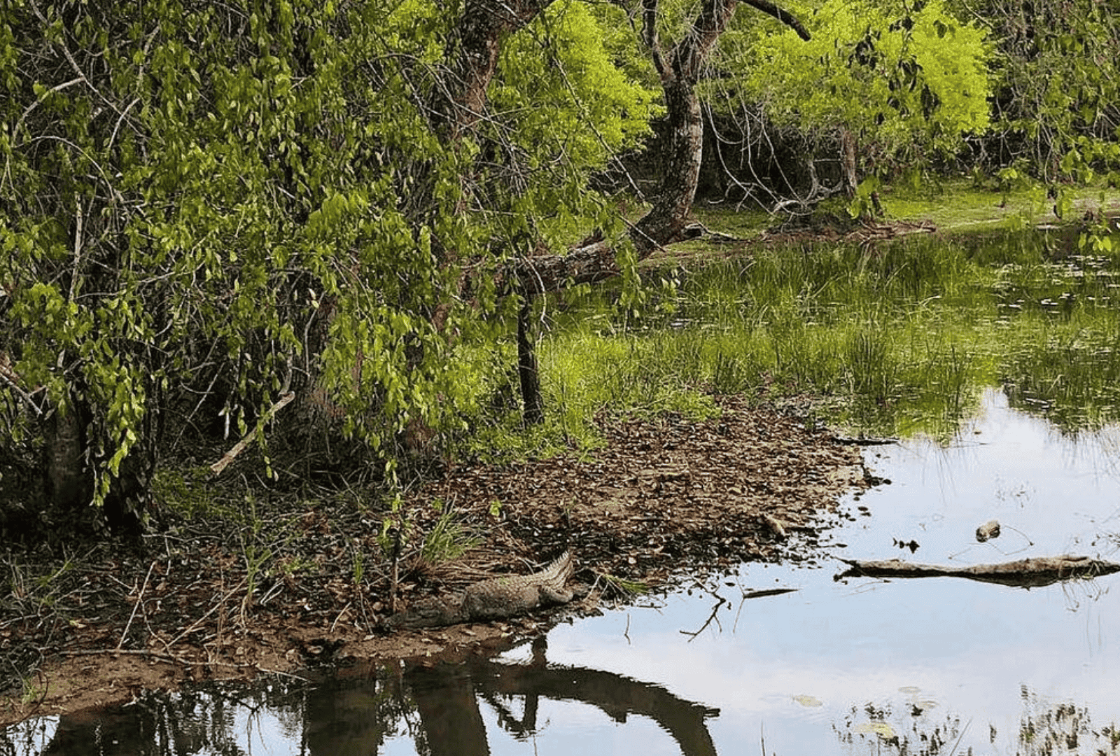 Untitled design - 2026-02-18T161014.181