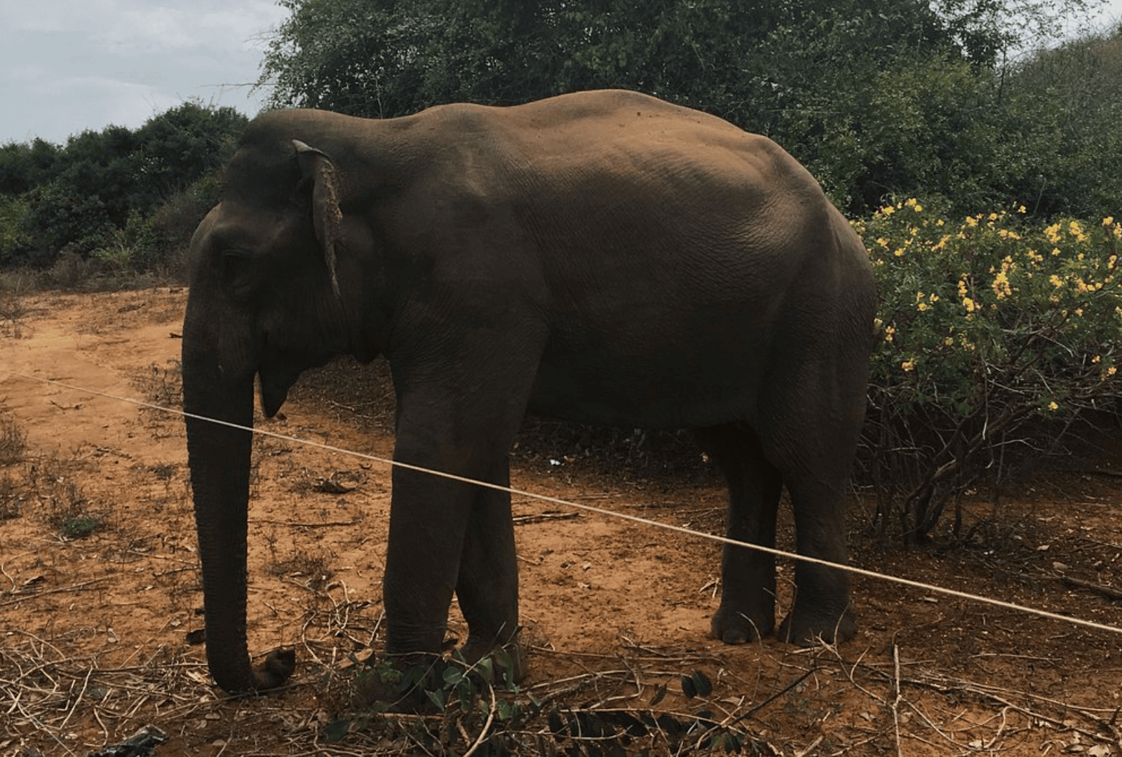 Untitled design - 2026-02-18T162338.208