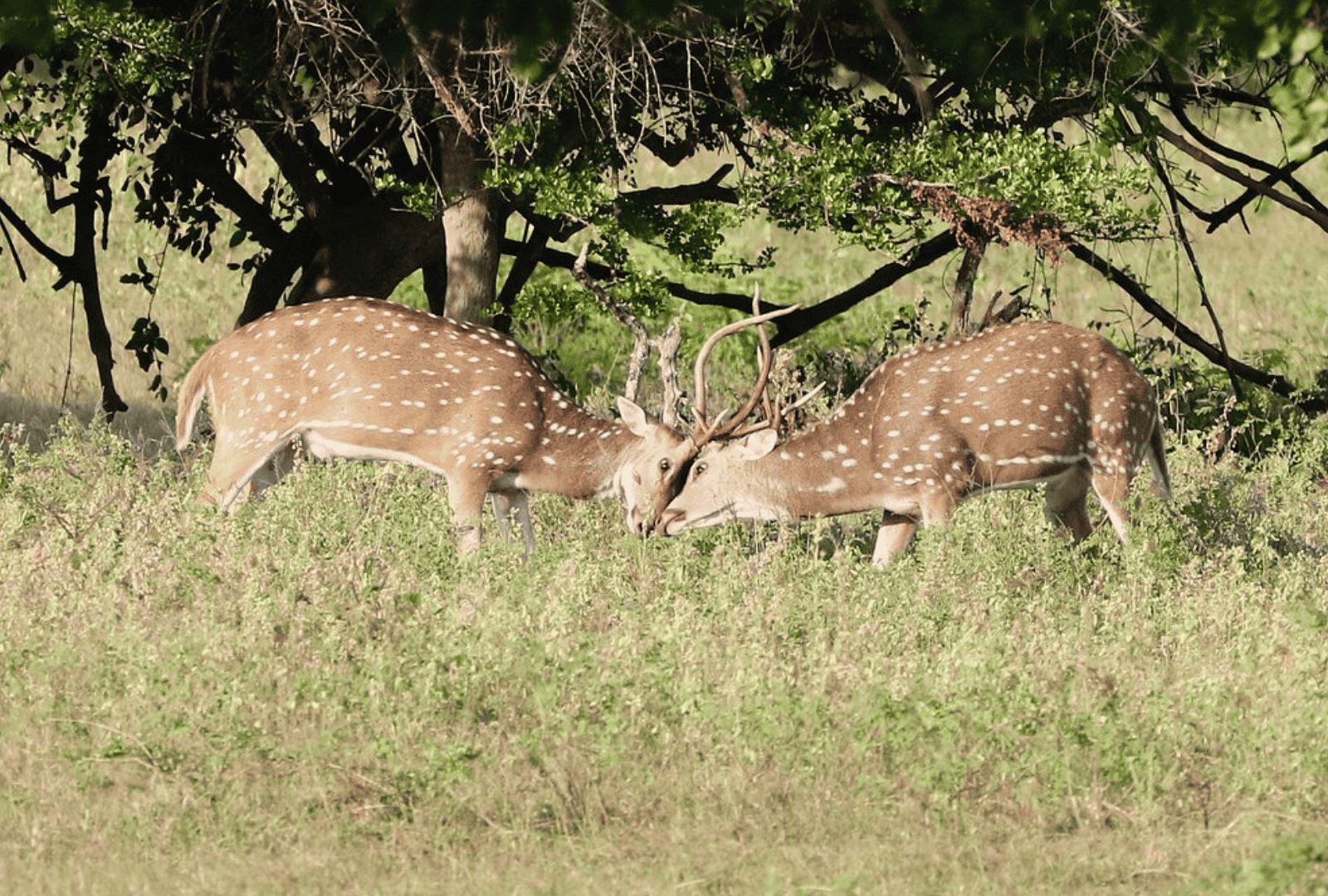 Untitled design - 2026-02-18T163145.221