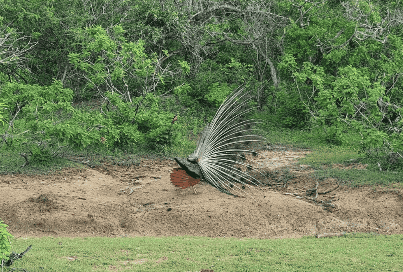 Untitled design - 2026-02-18T170242.181