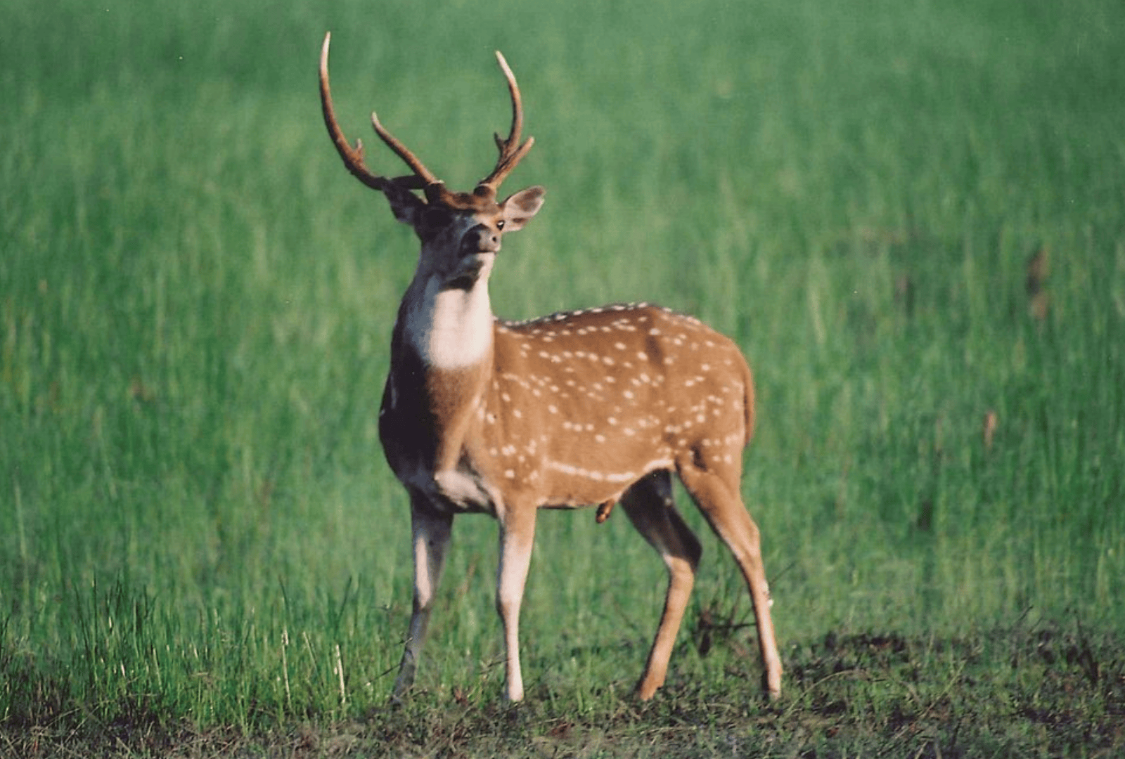 Untitled design - 2026-02-19T092720.269