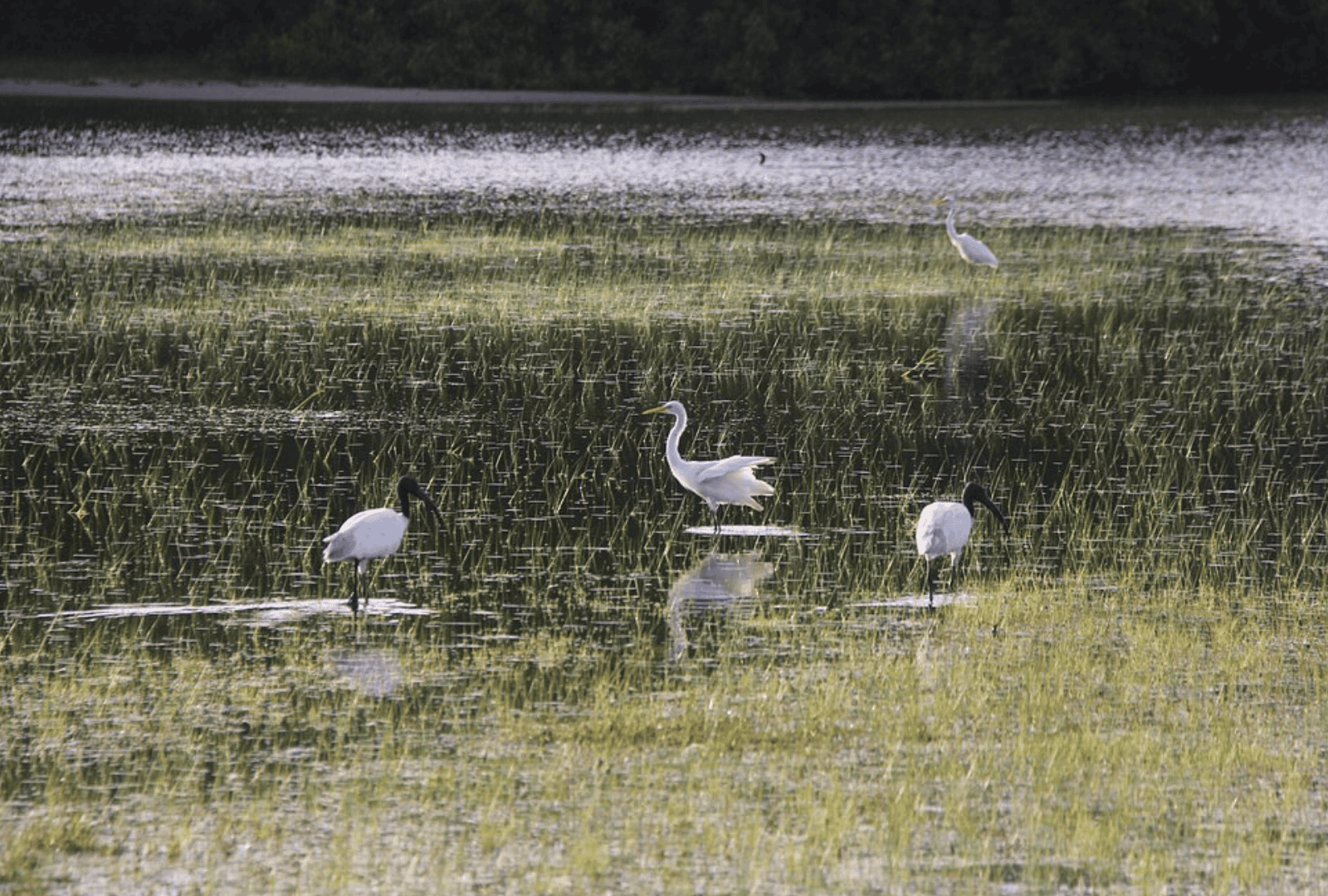 Untitled design - 2026-02-19T092843.124