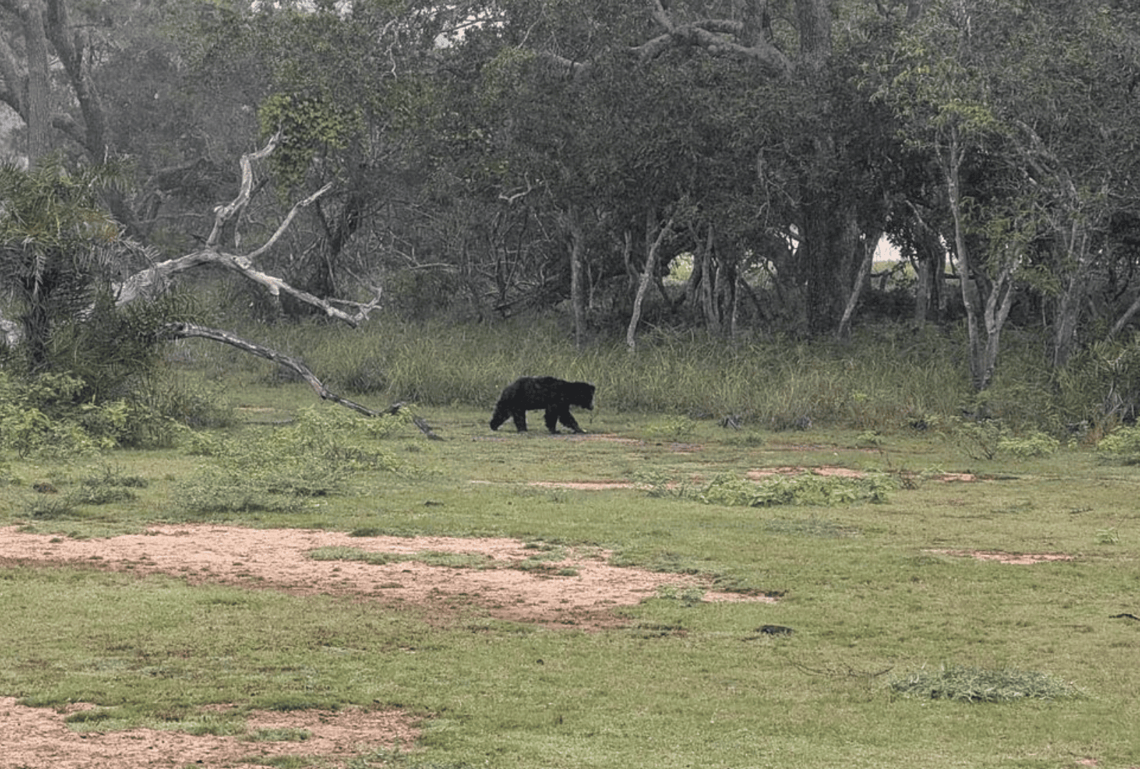 Untitled design - 2026-02-19T092928.053