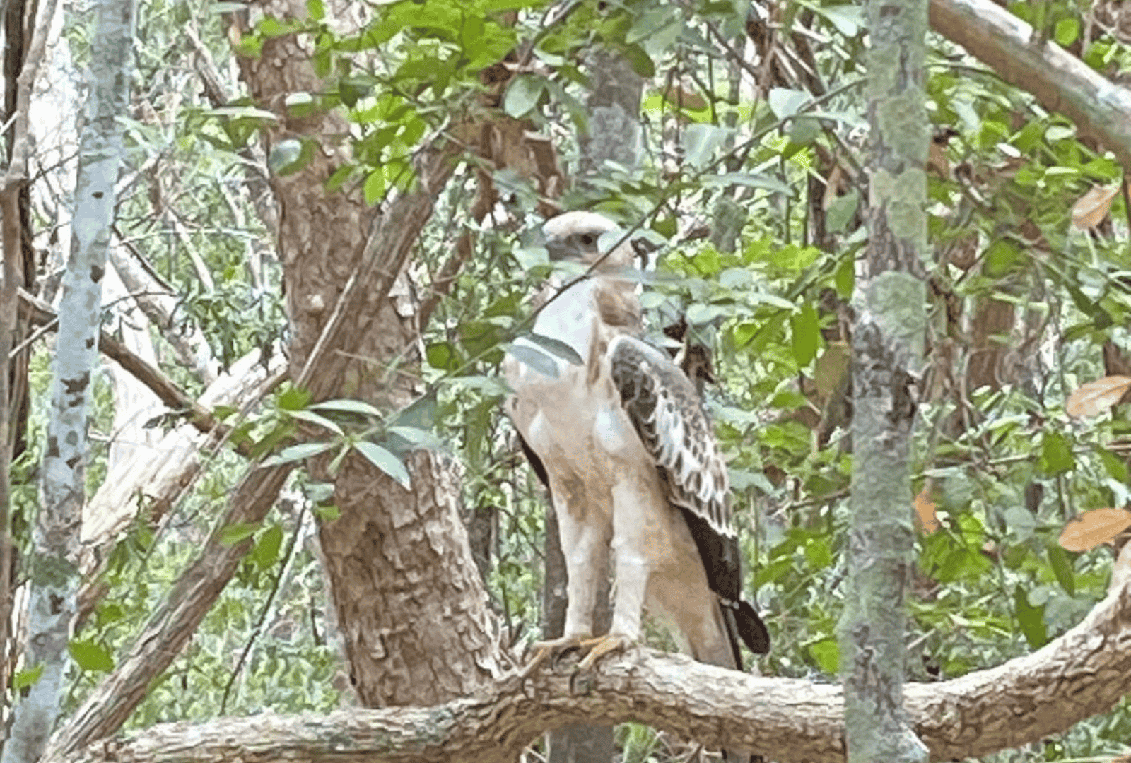 Untitled design - 2026-02-19T093040.953