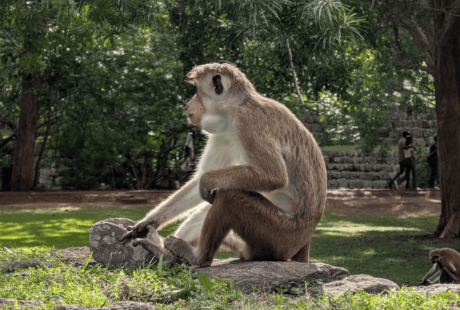 Untitled design - 2026-02-19T121935.496