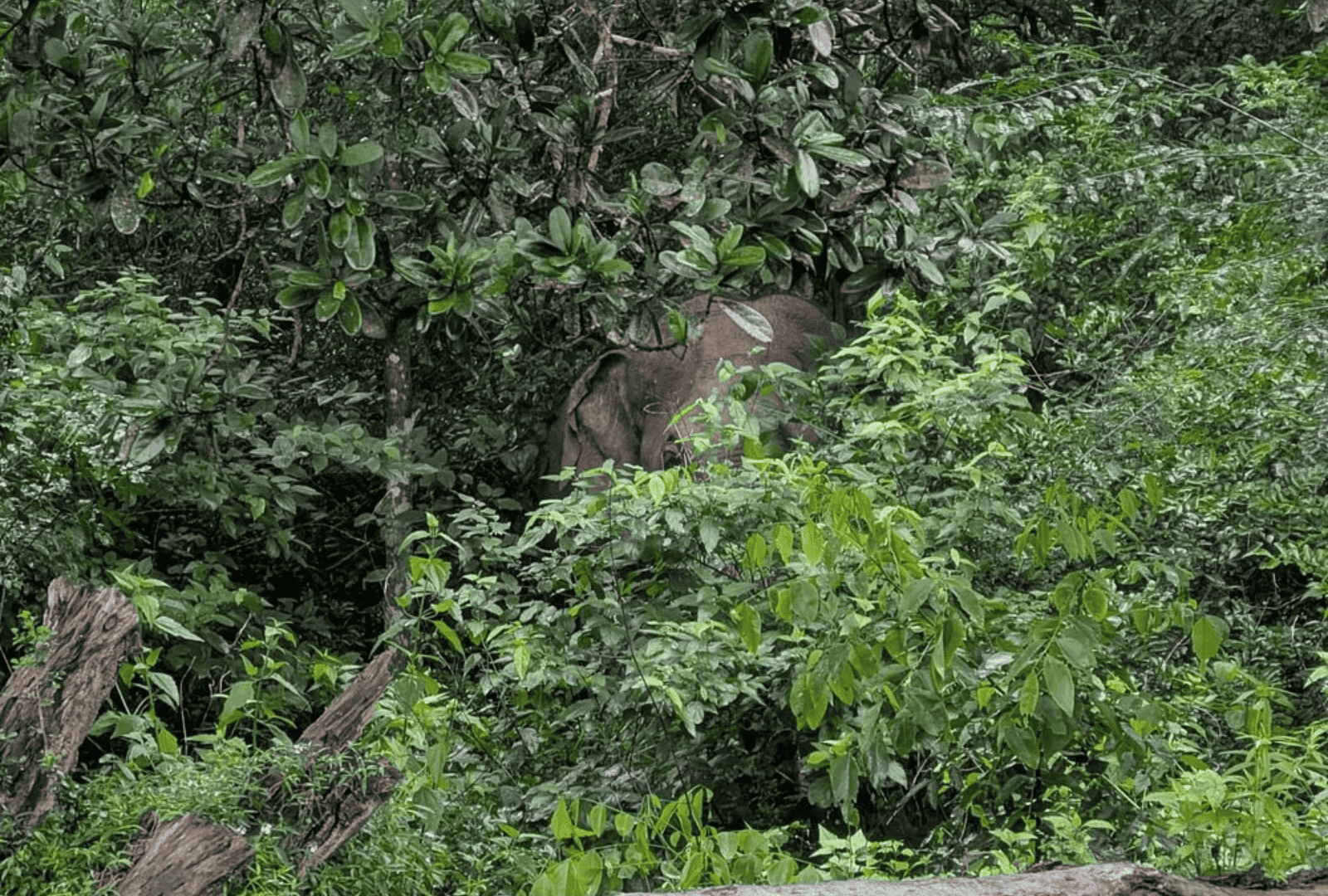 Untitled design - 2026-02-19T122101.091