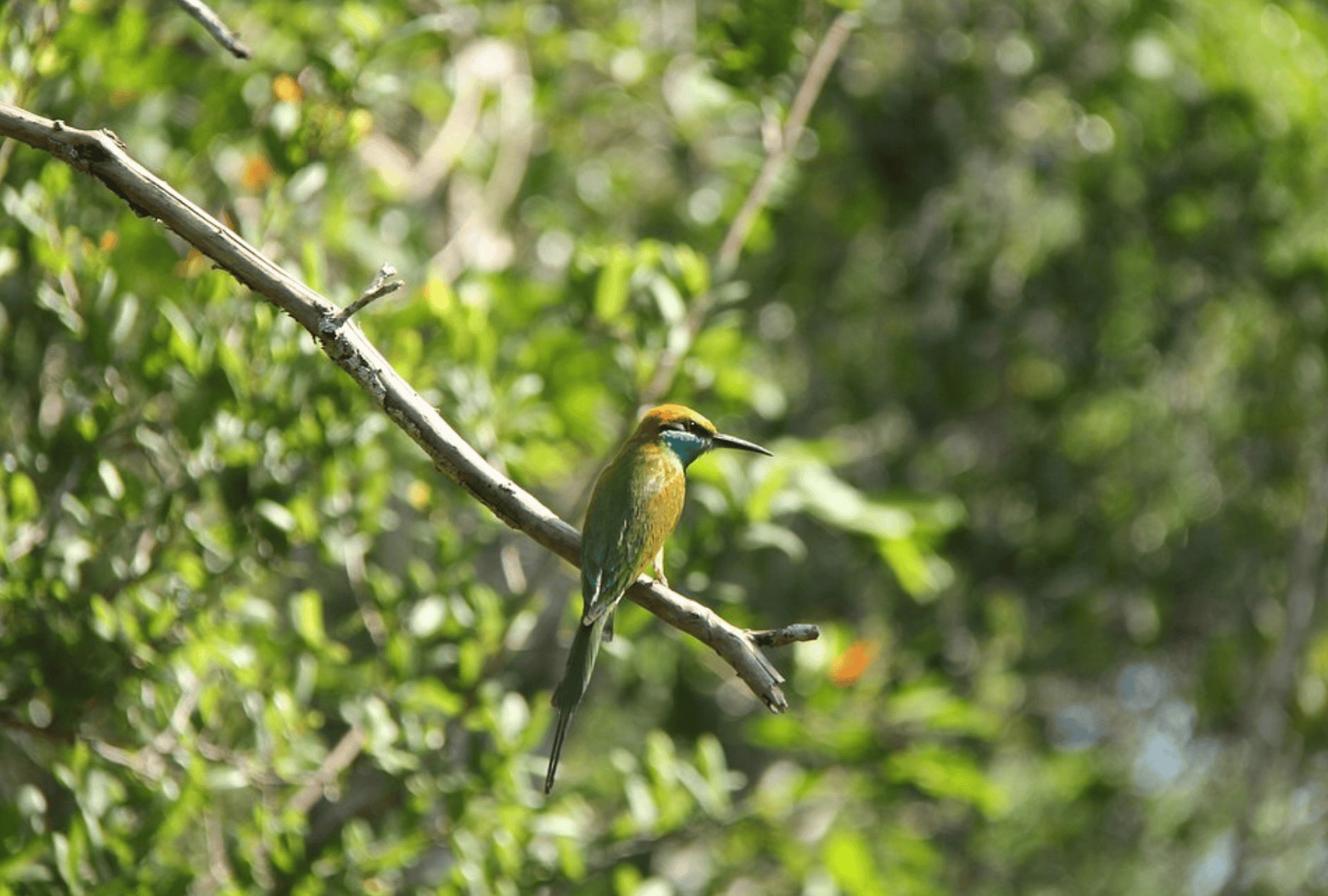 Untitled design - 2026-02-19T122351.307