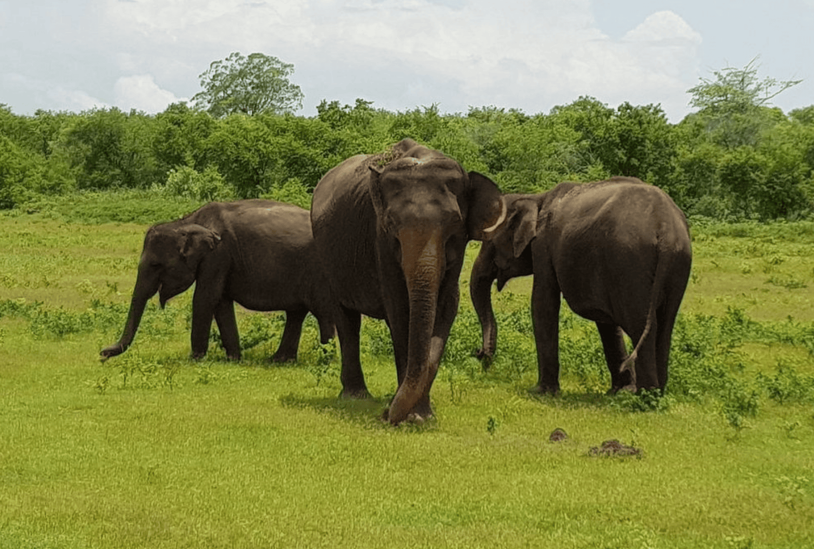 Untitled design - 2026-02-19T131234.096