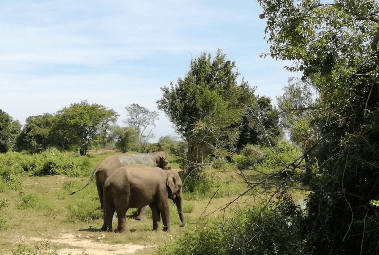 Untitled design - 2026-02-19T131341.249