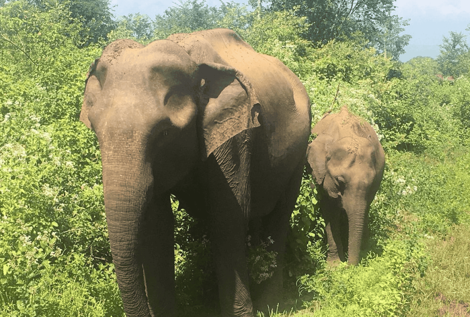 Untitled design - 2026-02-19T131419.599