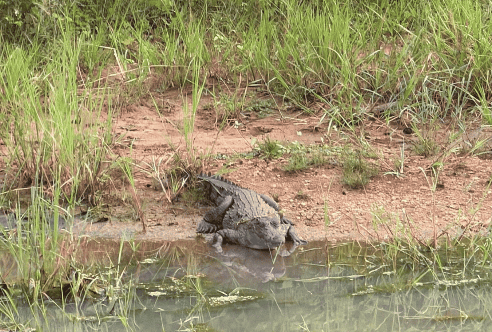 Untitled design - 2026-02-19T142437.222