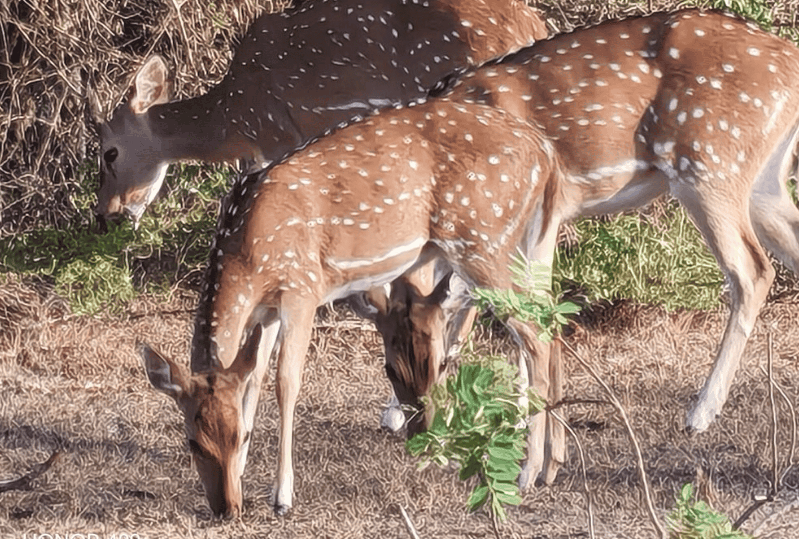 Untitled design - 2026-02-19T142522.508