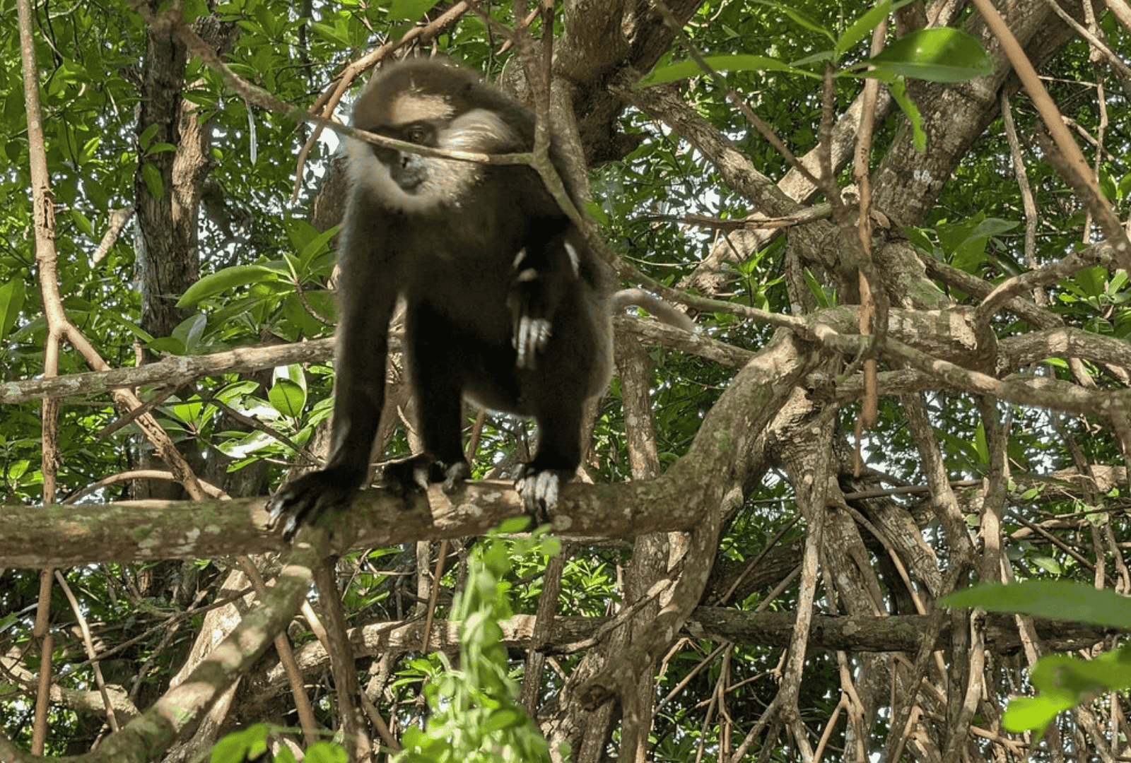 Untitled design - 2026-02-19T142710.145