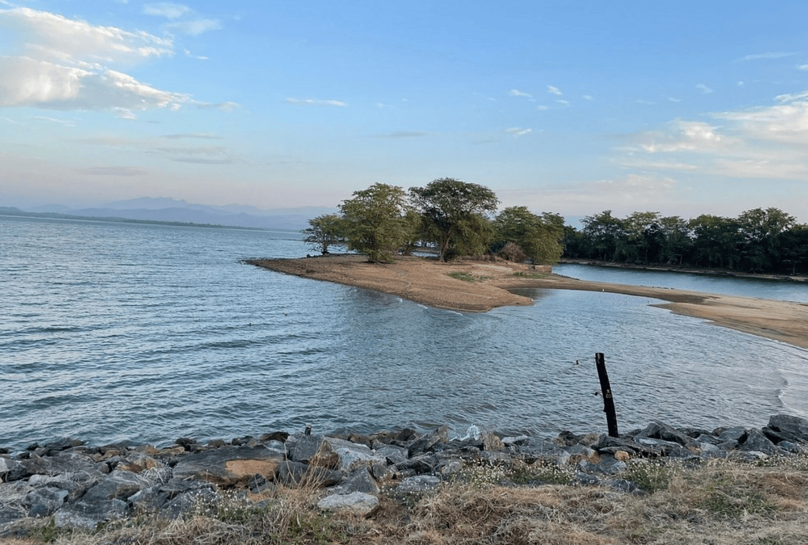 Untitled design - 2026-02-19T142754.902