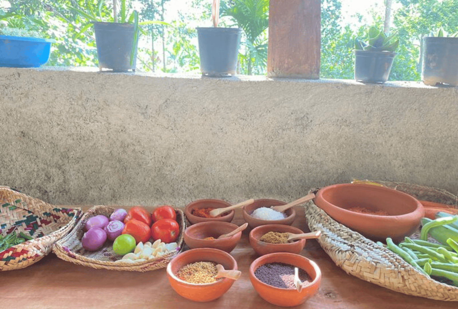 Untitled design - 2026-02-20T113221.473