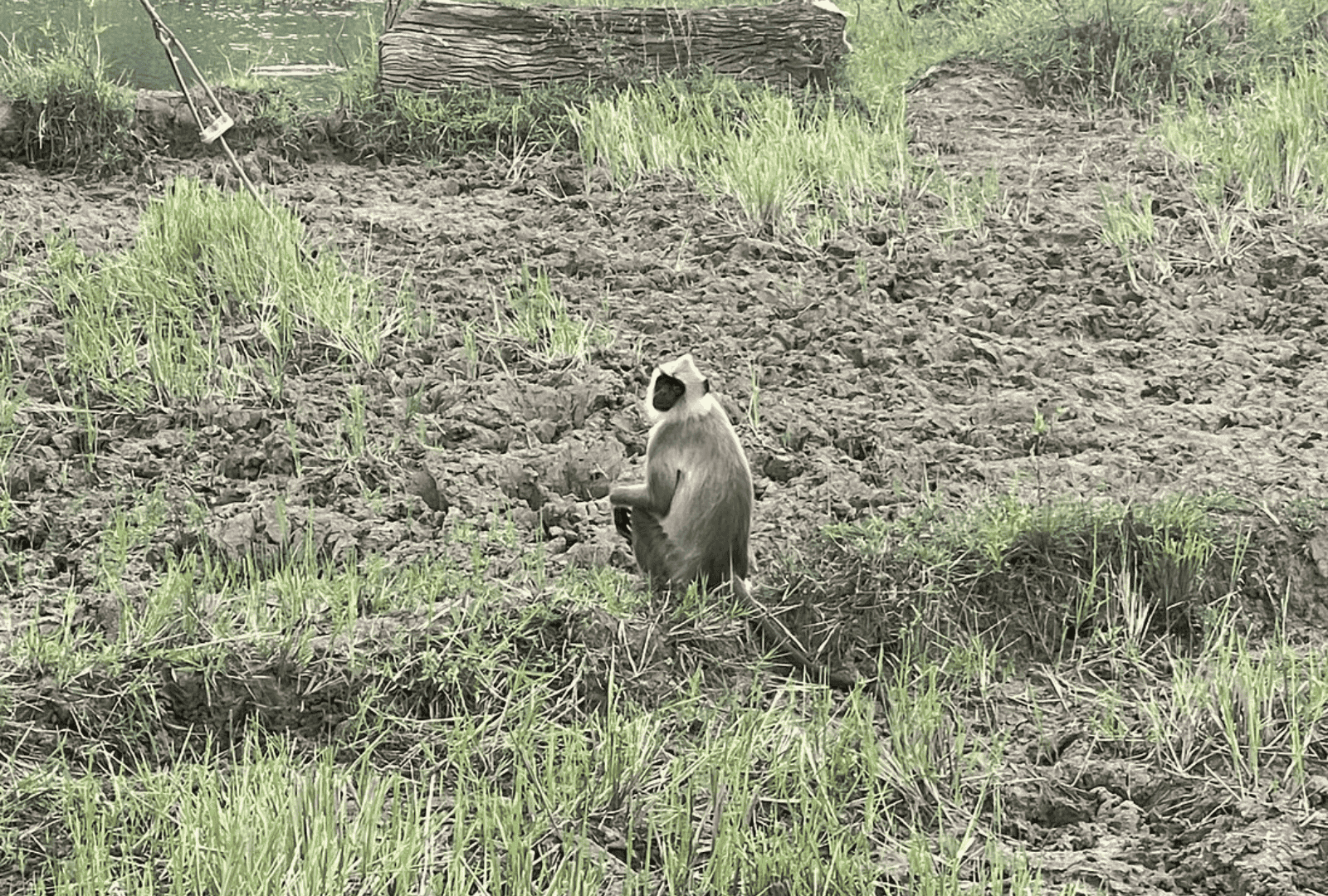 Untitled design - 2026-02-20T115830.823