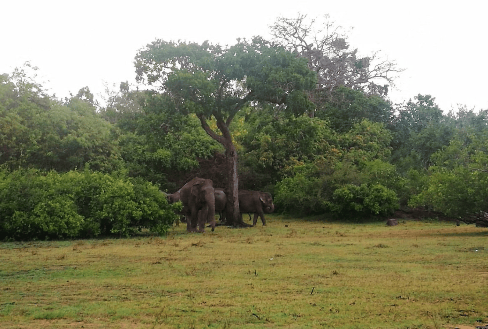 Untitled design - 2026-02-20T123128.767