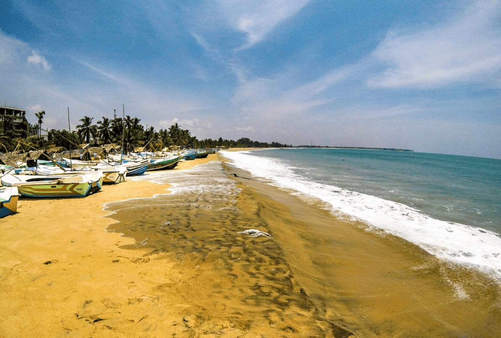 Untitled design - 2026-02-20T150117.035