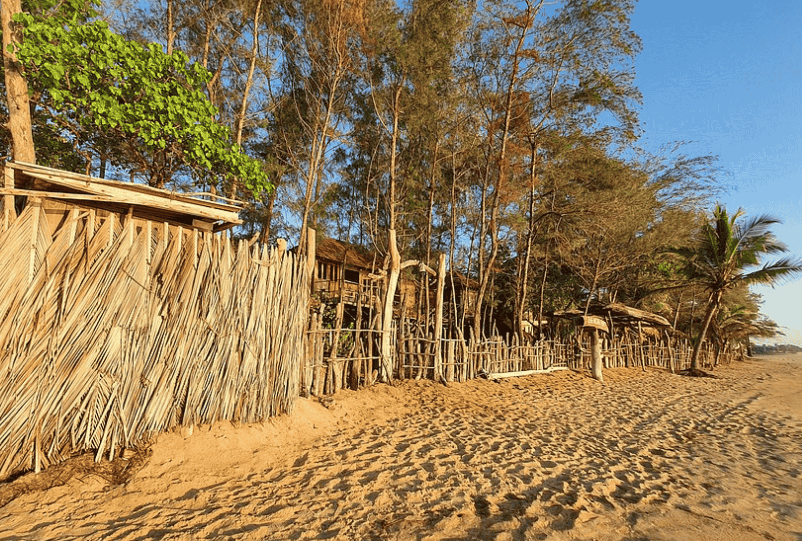 Untitled design - 2026-02-20T150207.237