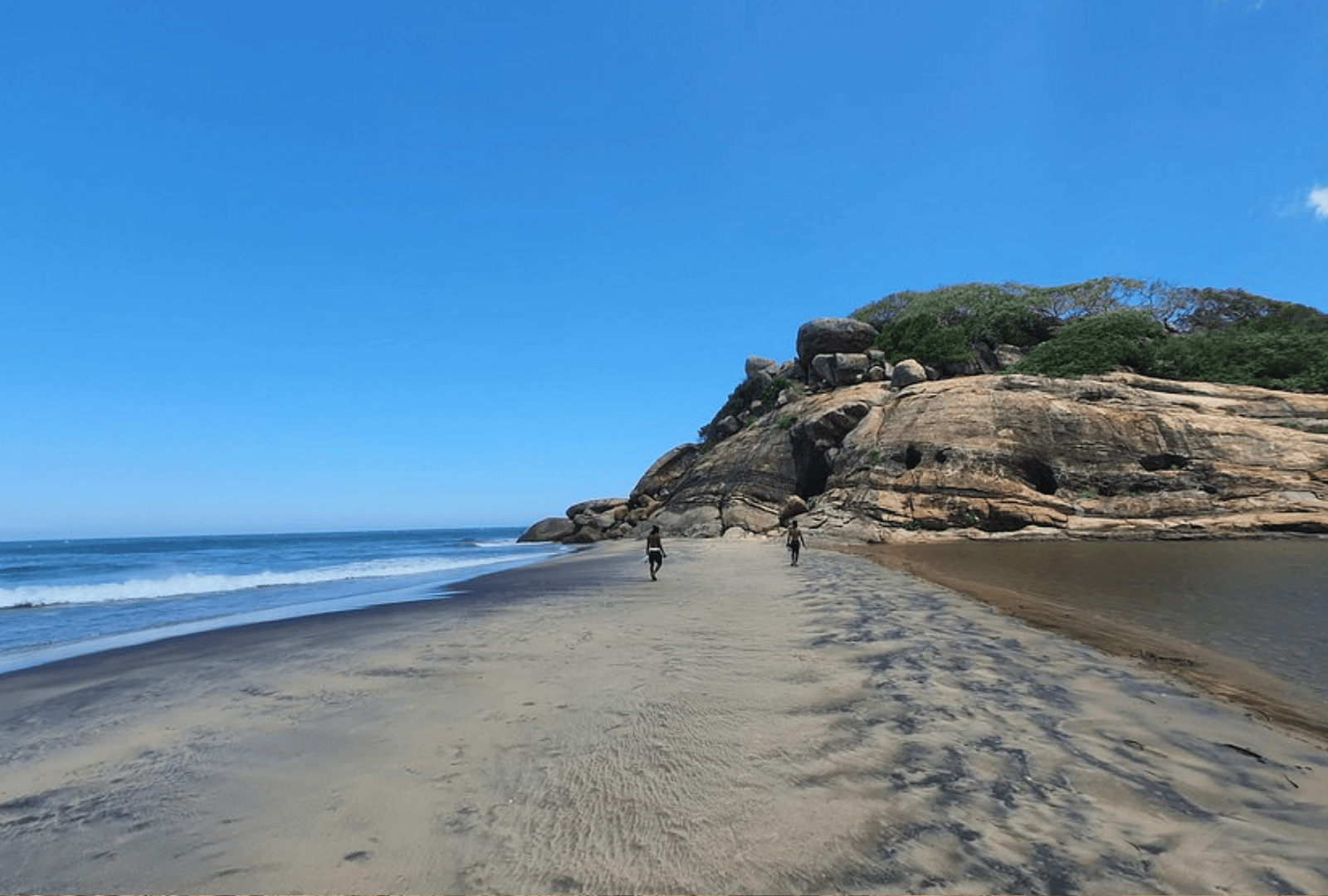 Untitled design - 2026-02-20T150257.101