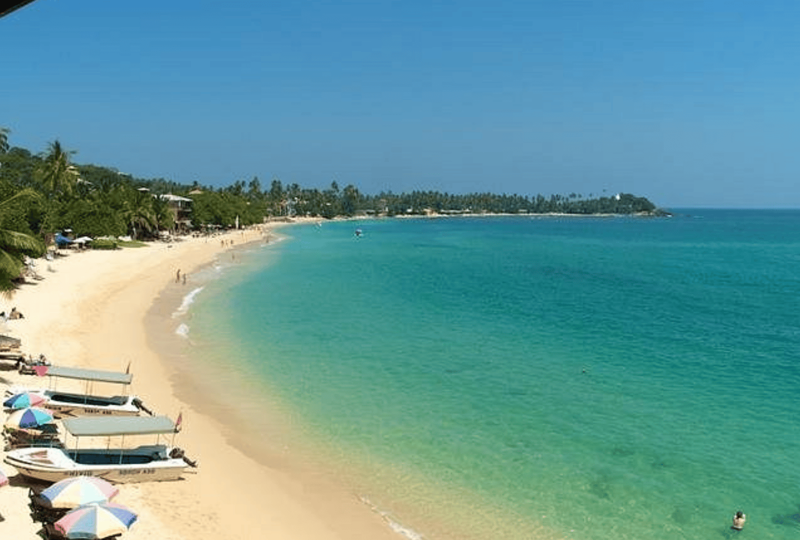 Untitled design - 2026-02-20T171235.167