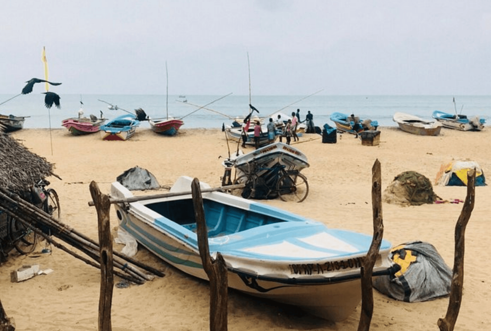 Untitled design - 2026-02-20T171313.191