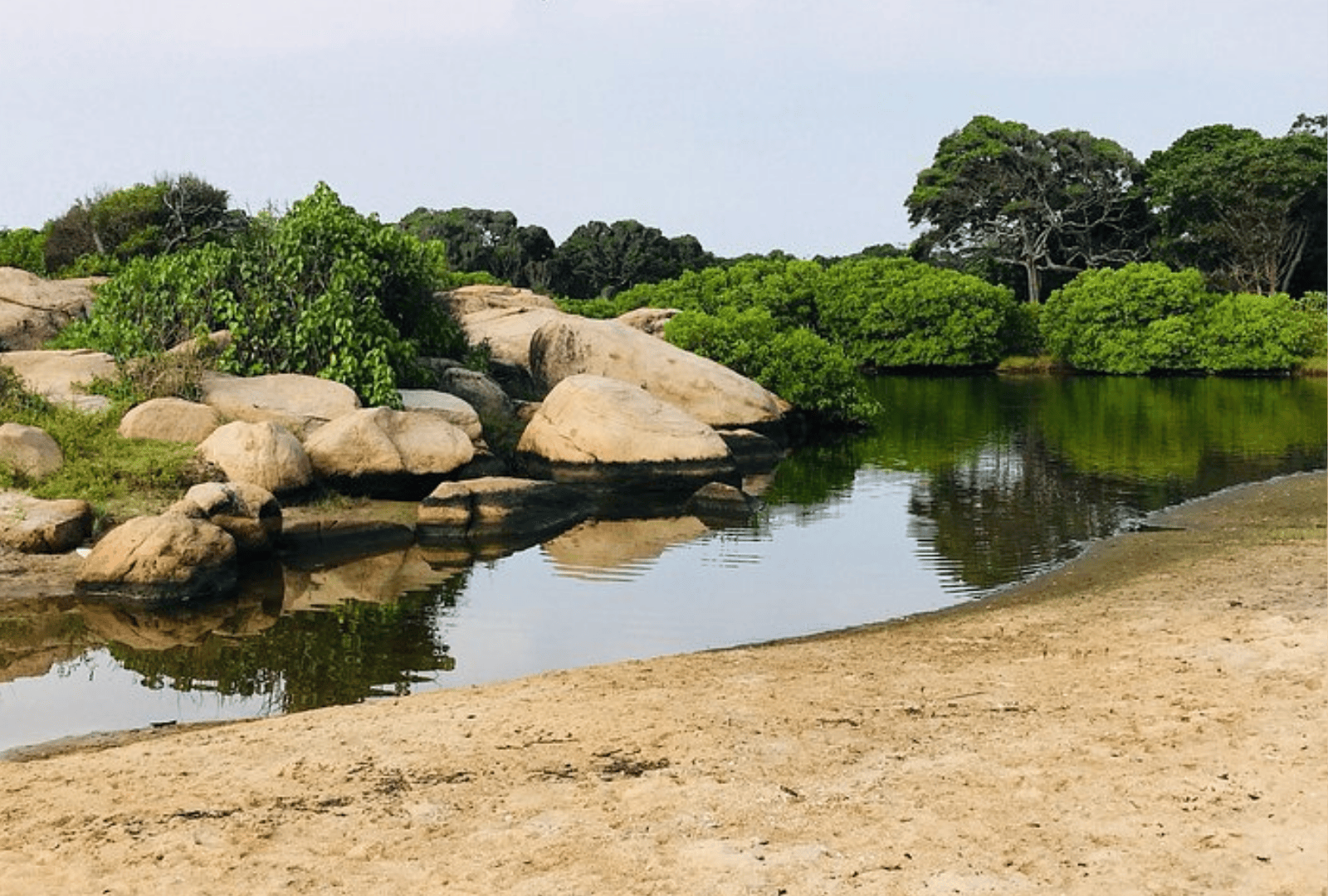 Untitled design - 2026-02-20T171344.051