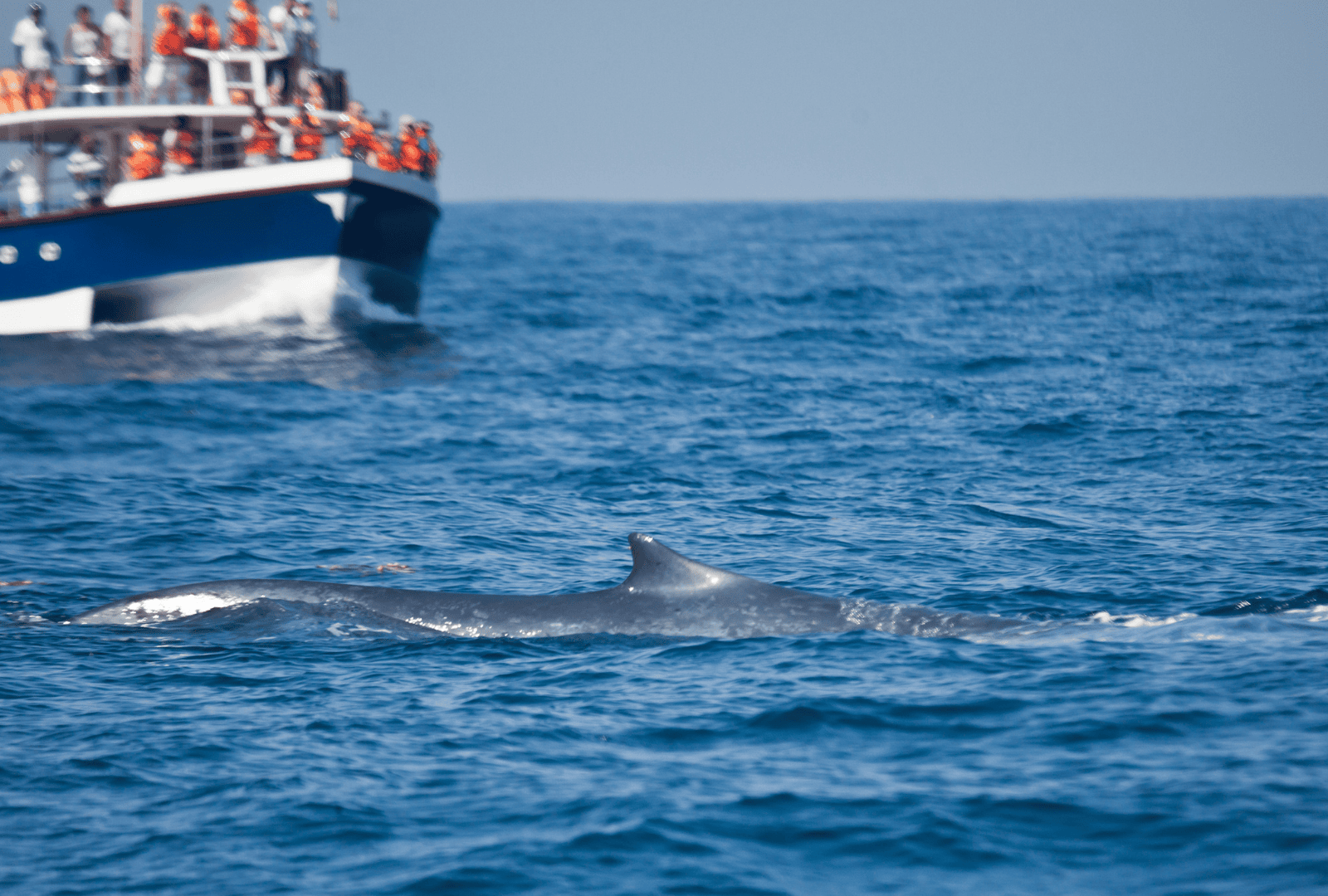 Untitled design - 2026-02-20T172409.388