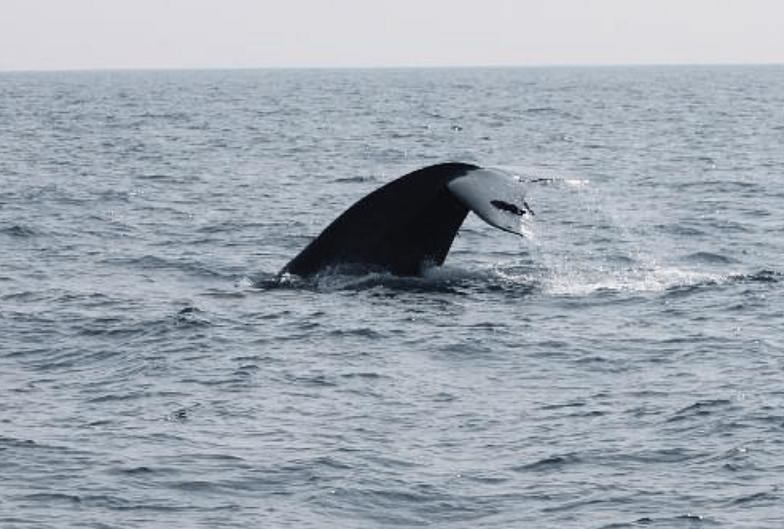 Untitled design - 2026-02-20T172433.322