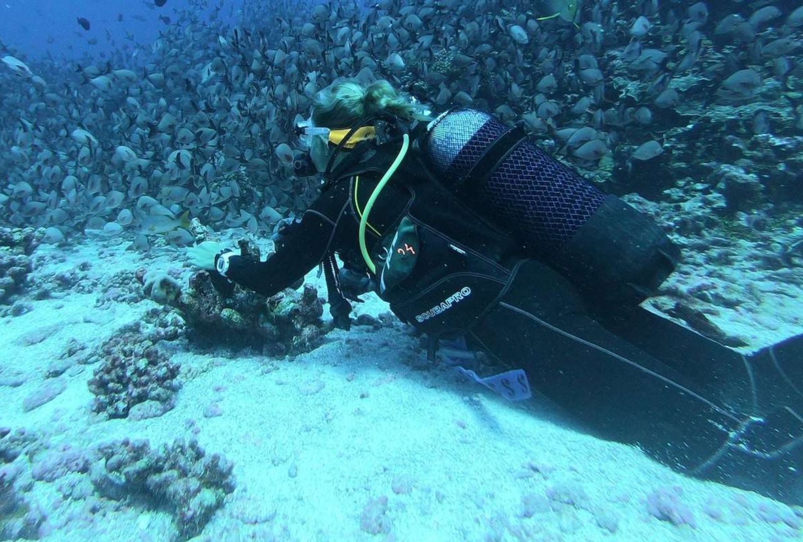 Untitled design (27)