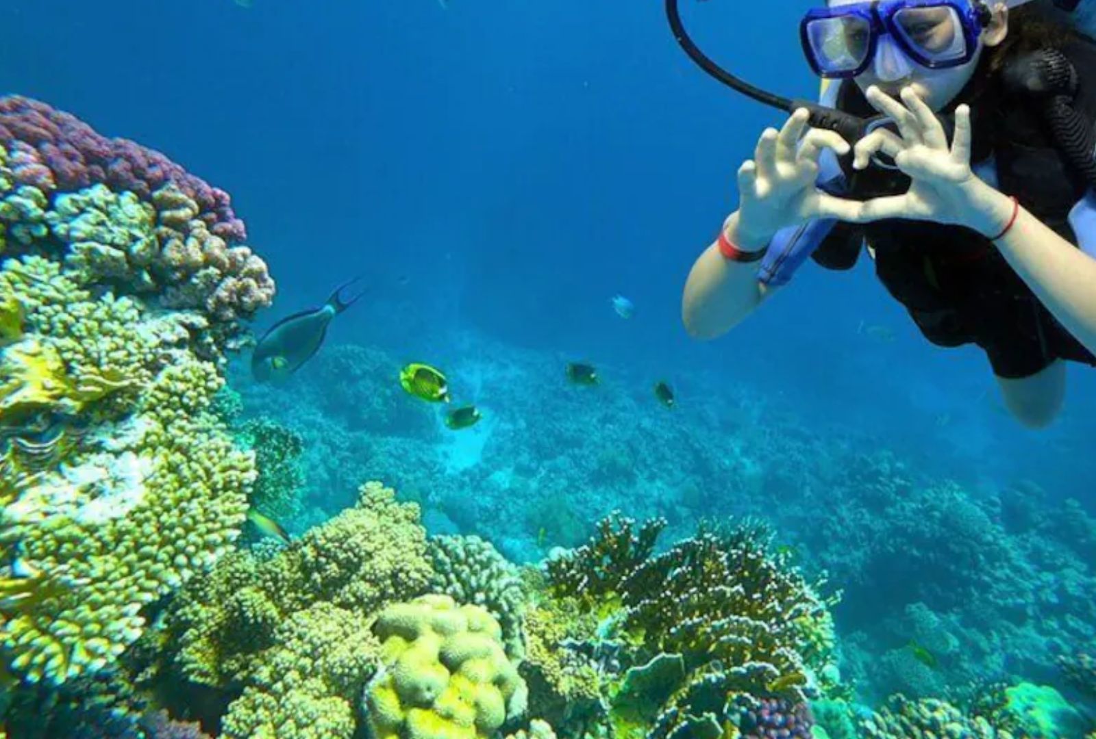 Untitled design (29)