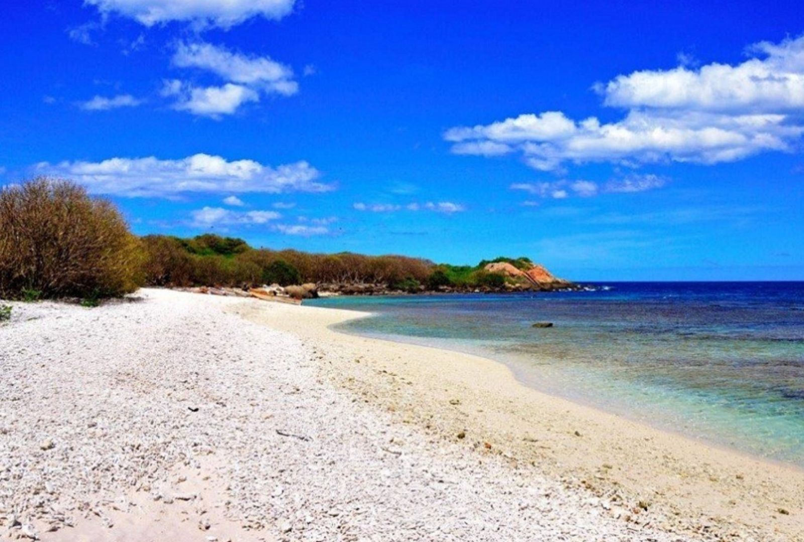 Untitled design (31)