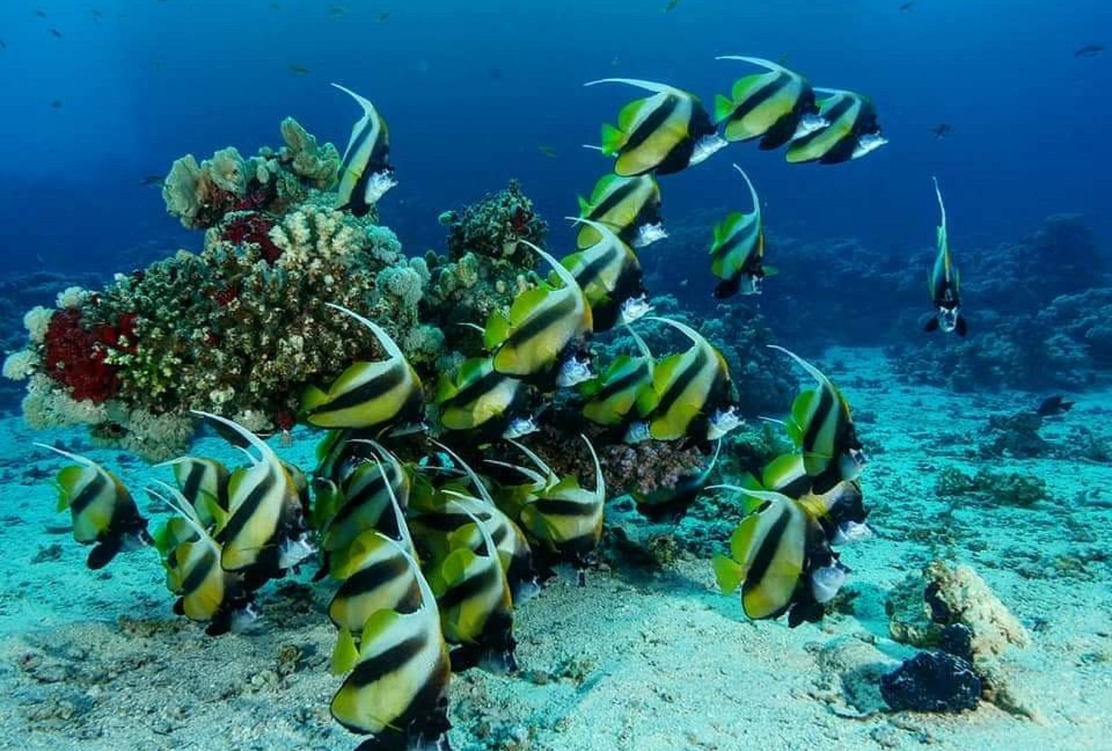 Untitled design (33)