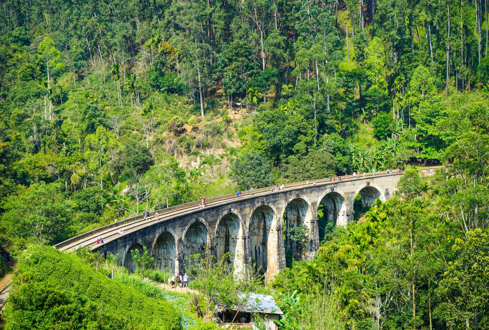 Untitled design (49)