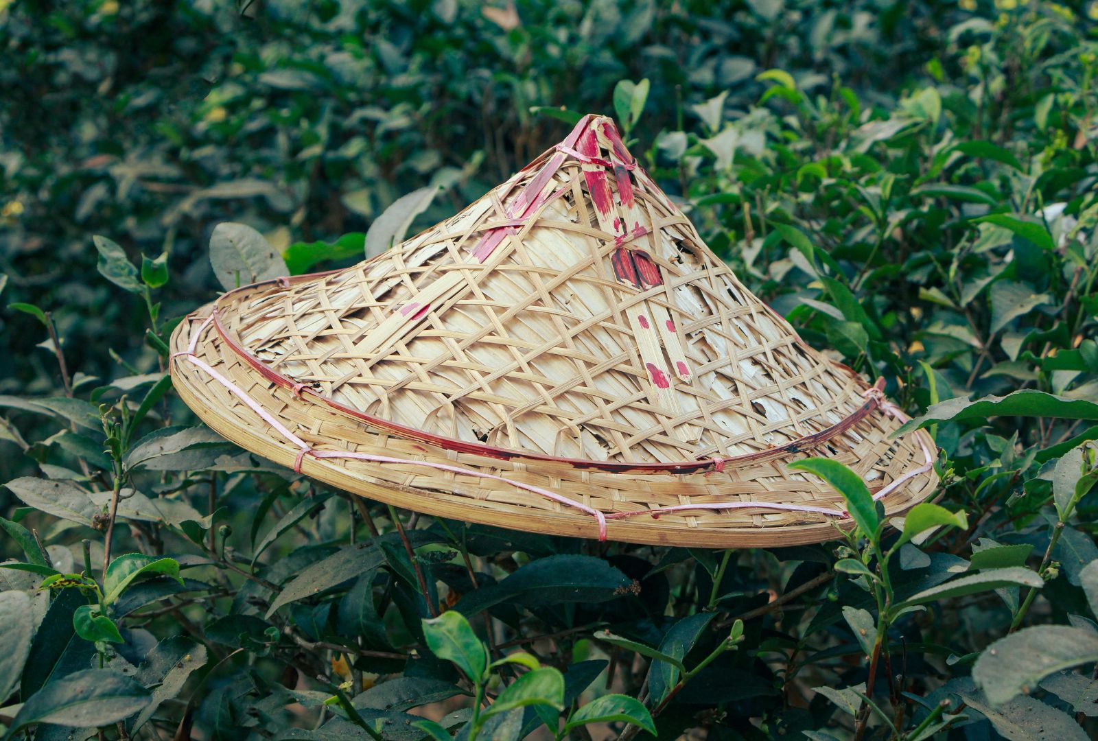 Untitled design (50)