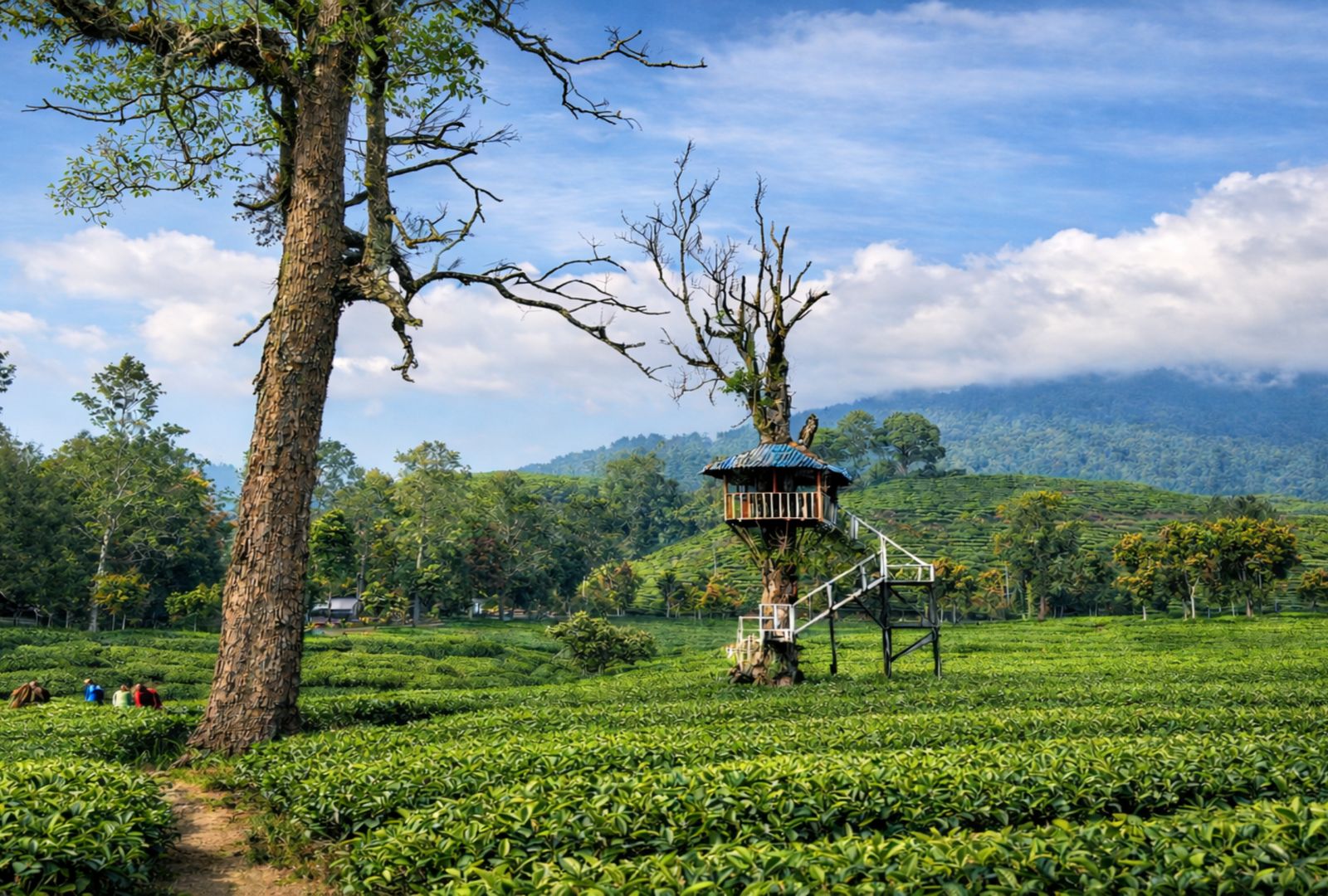 Untitled design (54)