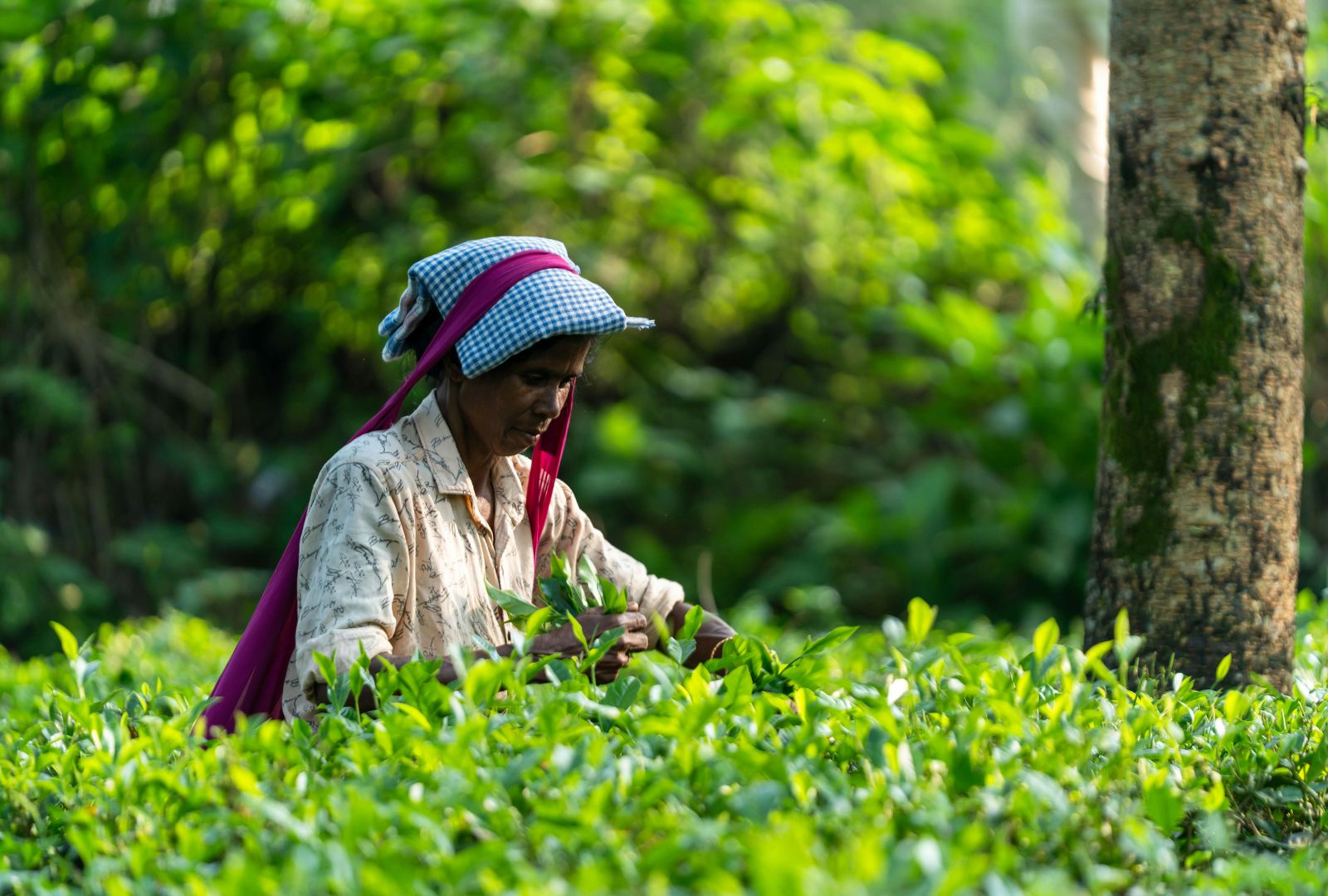 Untitled design (55)